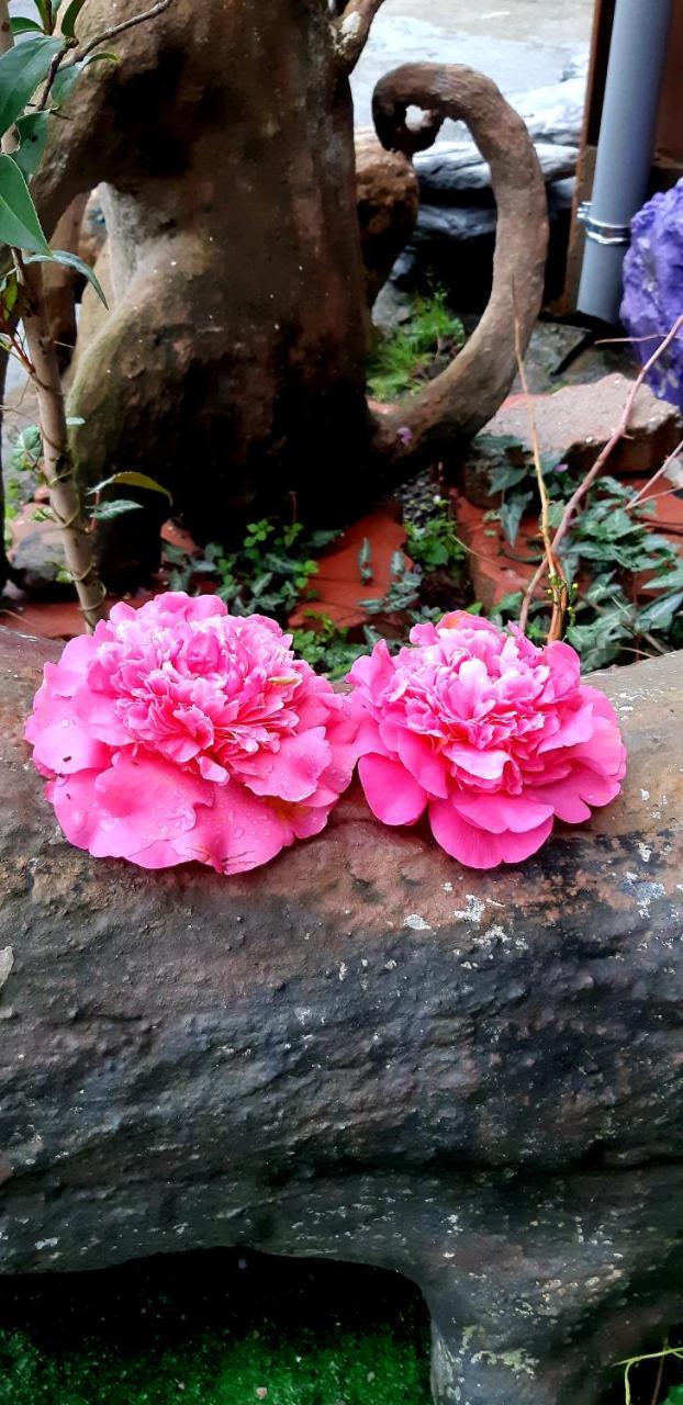 Lushan Xiangting Tea Homestay Ren'ai Exterior photo